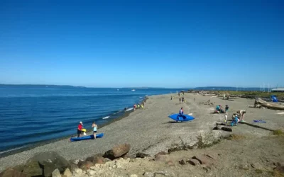 Fun Things To Do This Summer