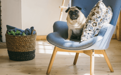 How to Know Which Flooring Type is Right for You
